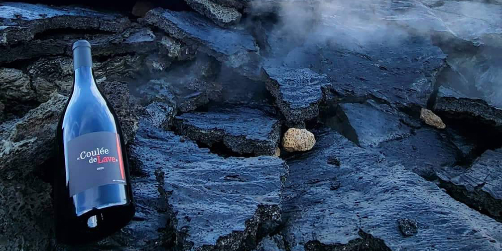 La Rencontre Vigneronne Epicurvins