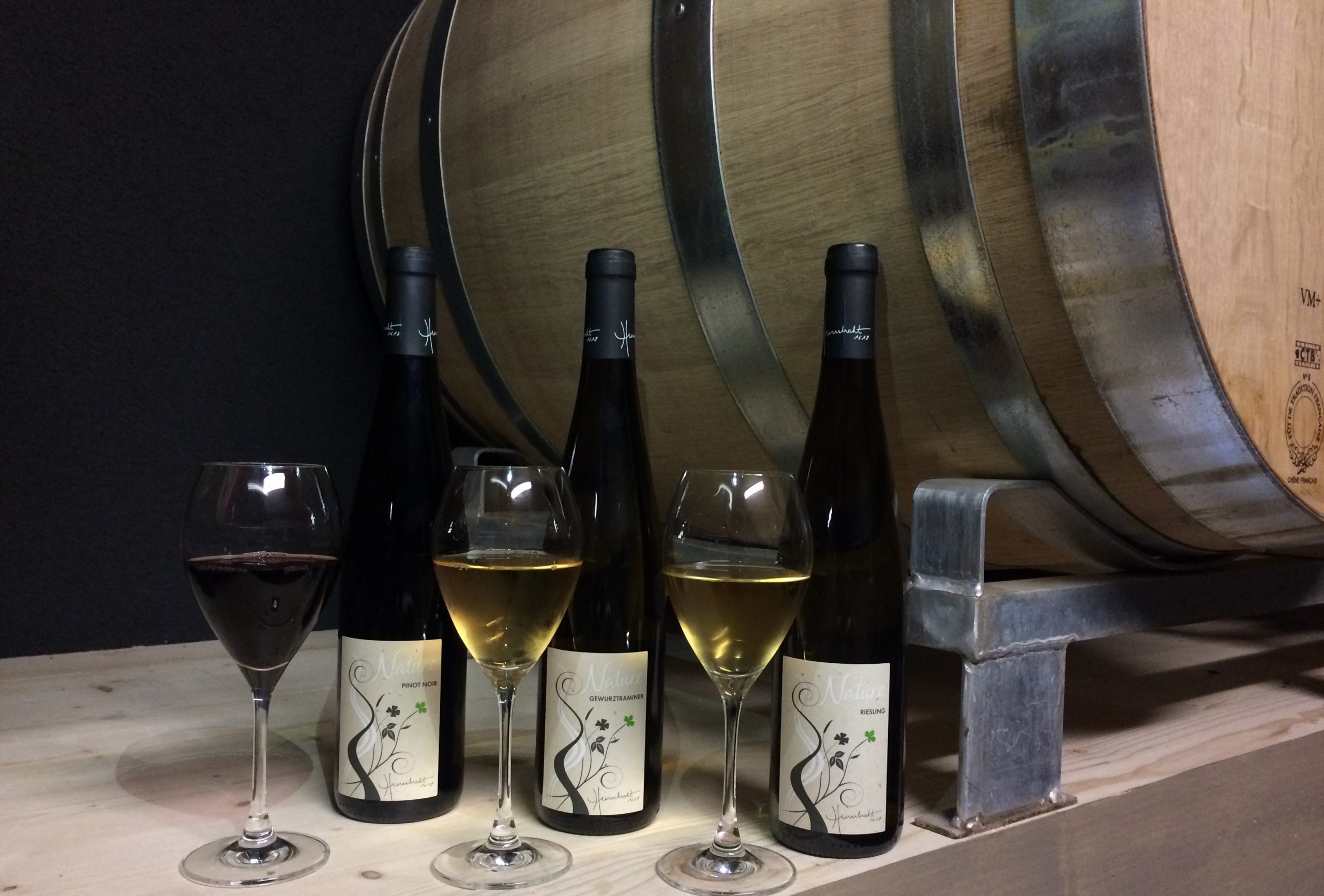 Rencontre des vignerons - Photo 3