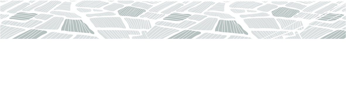 Rencontres avec les Bourgognes