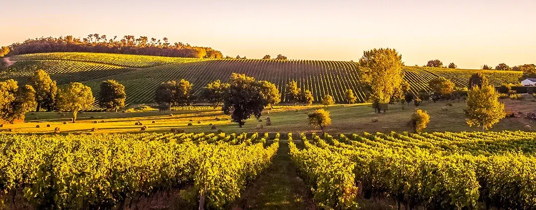 Salon du vin Vinomedia