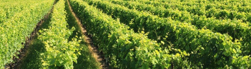 Salon Intervin de Vienne