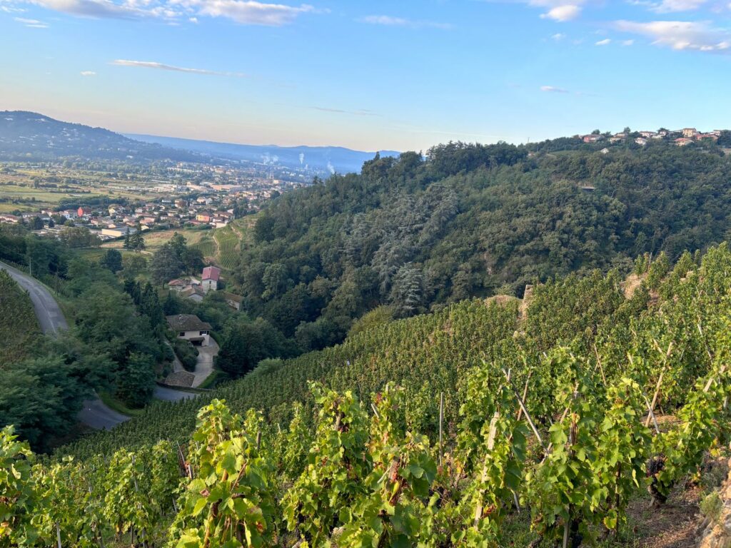 Salon Intervin de Vienne - Photo 2