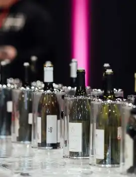 Salon des Vins de Loire - Photo 4