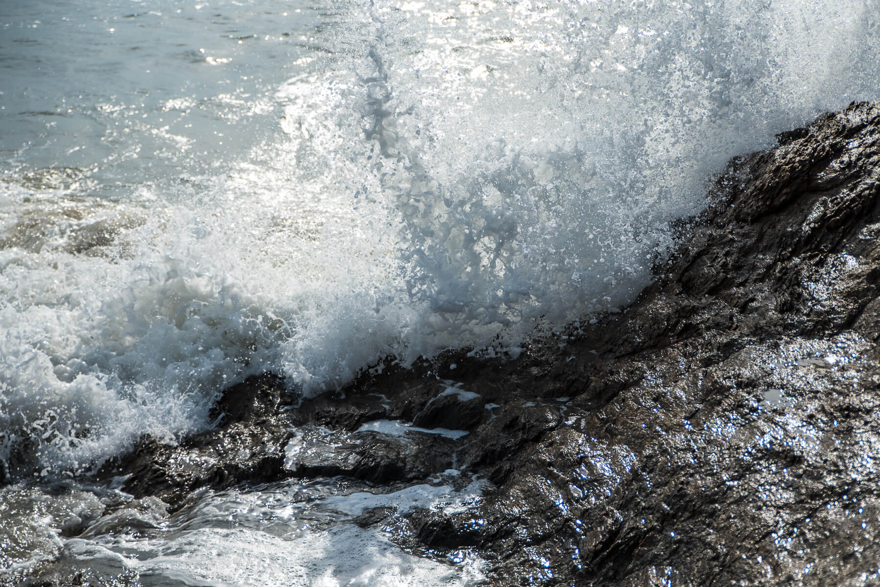Salon des Vins de Muscadet