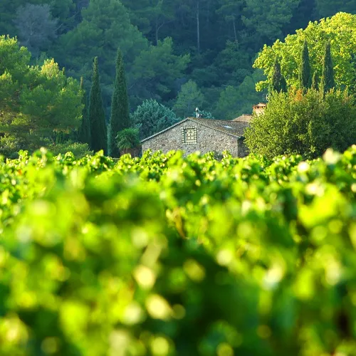 Salon des Vins de Provence à Brignoles - Photo 1