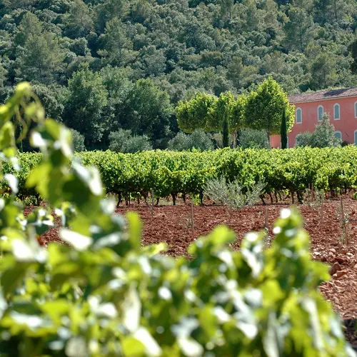 Salon des Vins de Provence à Brignoles - Photo 3