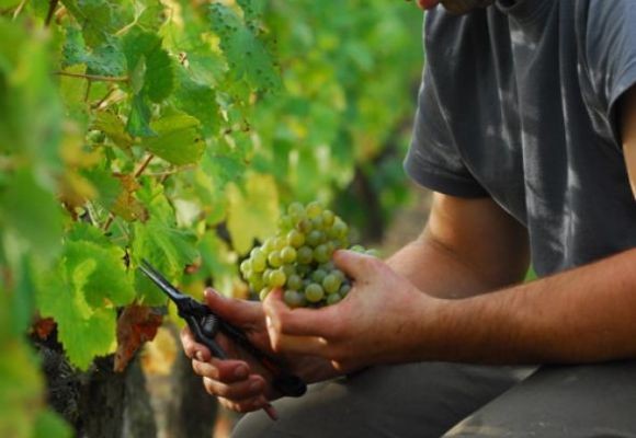 Salon des Vins de Saumur - Photo 4