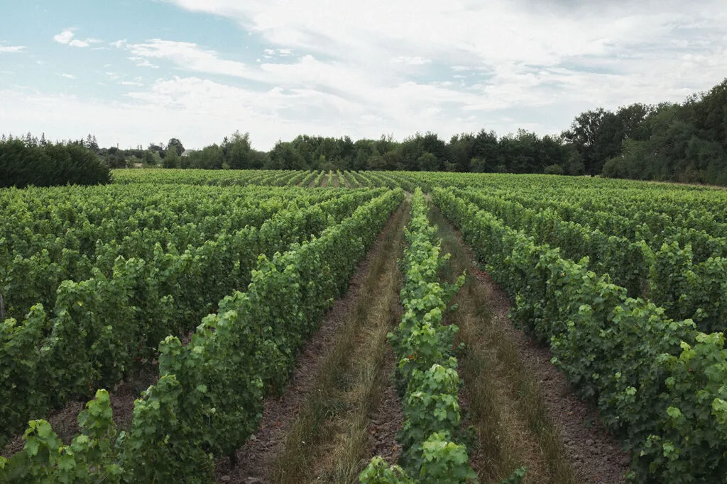 14e Salon du Tourisme à Salbris