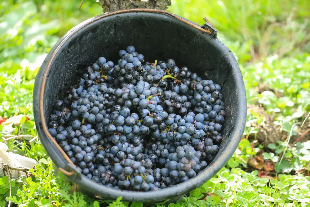 14e Salon du Tourisme à Salbris - Photo 2