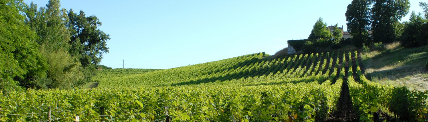 14ème Salon des Vignerons Indépendants de NOGENT-SUR-MARNE