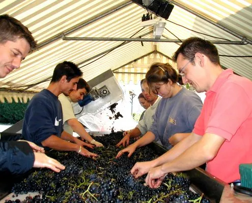 14ème Salon des Vignerons Indépendants de NOGENT-SUR-MARNE - Photo 3