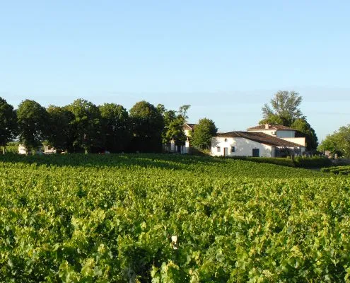 14ème Salon des Vignerons Indépendants de NOGENT-SUR-MARNE - Photo 4