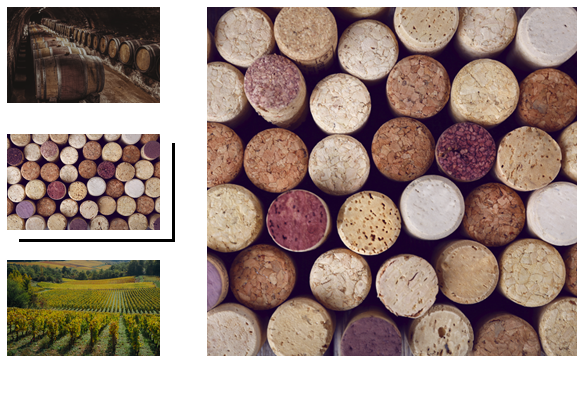 Salon des Vignerons de Nuits-Saint-Georges - Photo 3