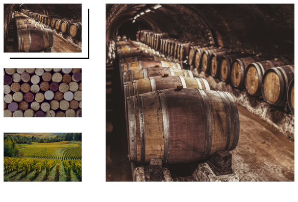 Salon des Vignerons de Nuits-Saint-Georges - Photo 4