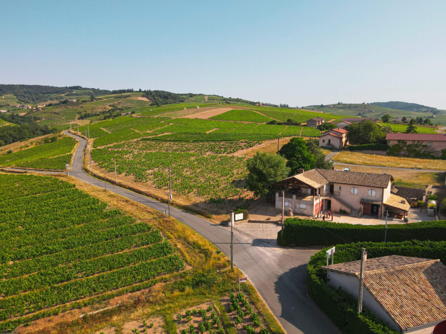 Foire des Vignerons de Saint-Gilles