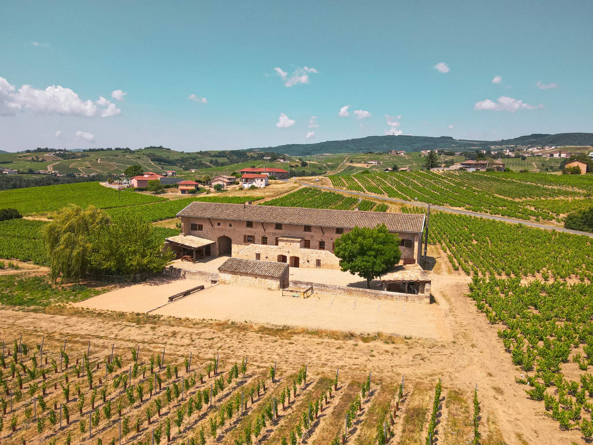 Foire des Vignerons de Saint-Gilles - Photo 3