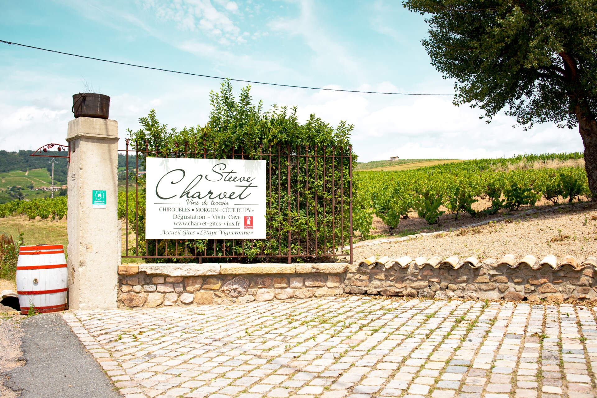 Foire des Vignerons de Saint-Gilles - Photo 4