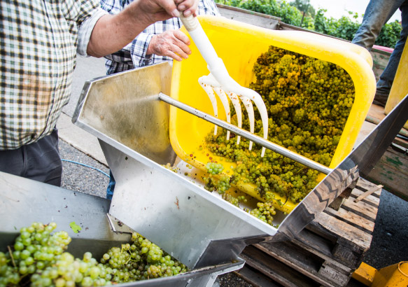 Salon de Villars-sous-Dampjoux - Photo 2