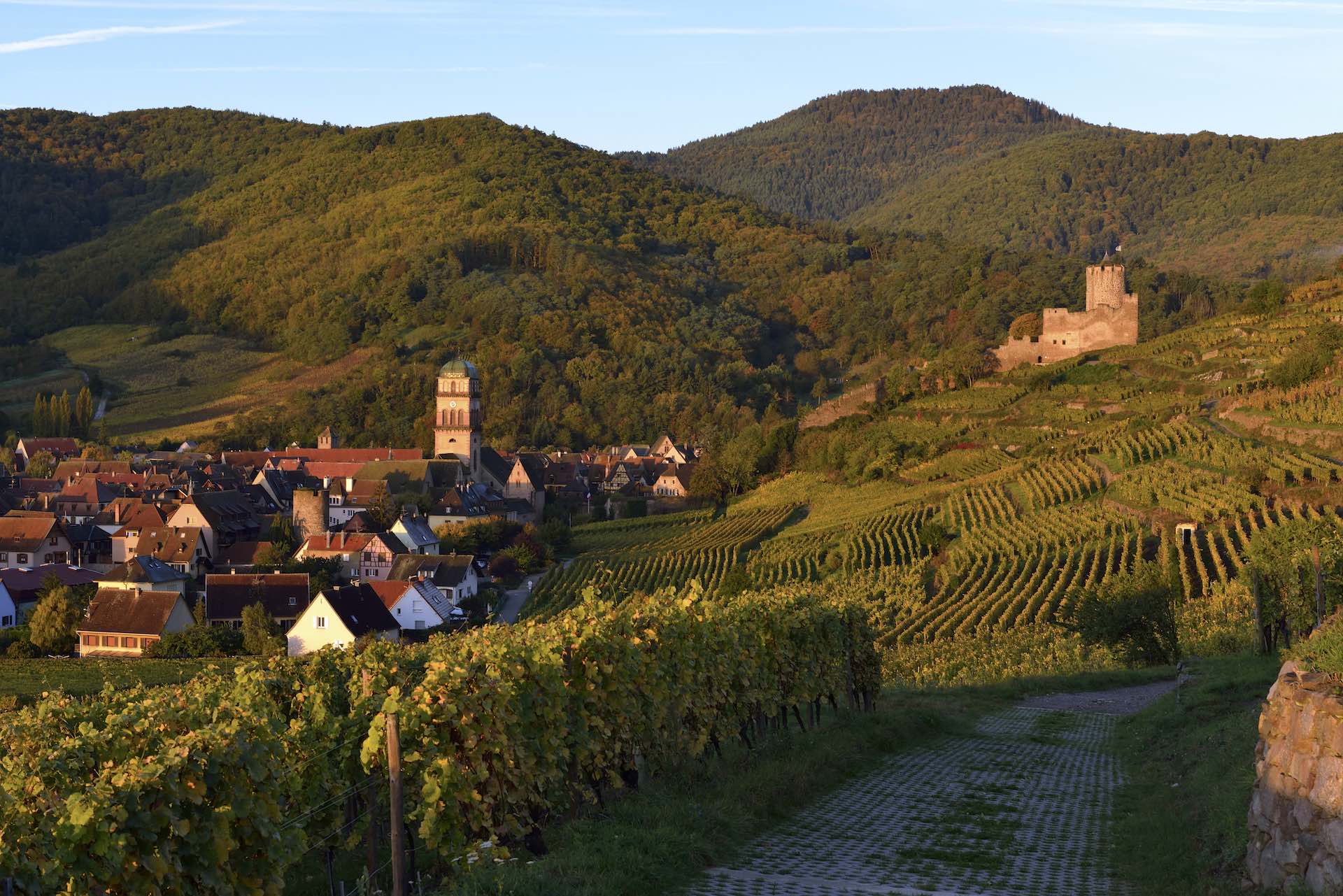 SALON VIN ET GOUT - Photo 2