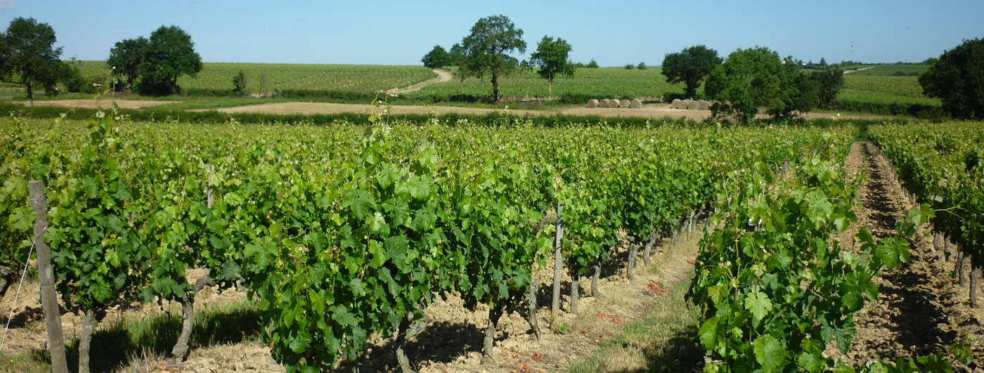 Salon du Vin et Produits du Terroir St DIZIER