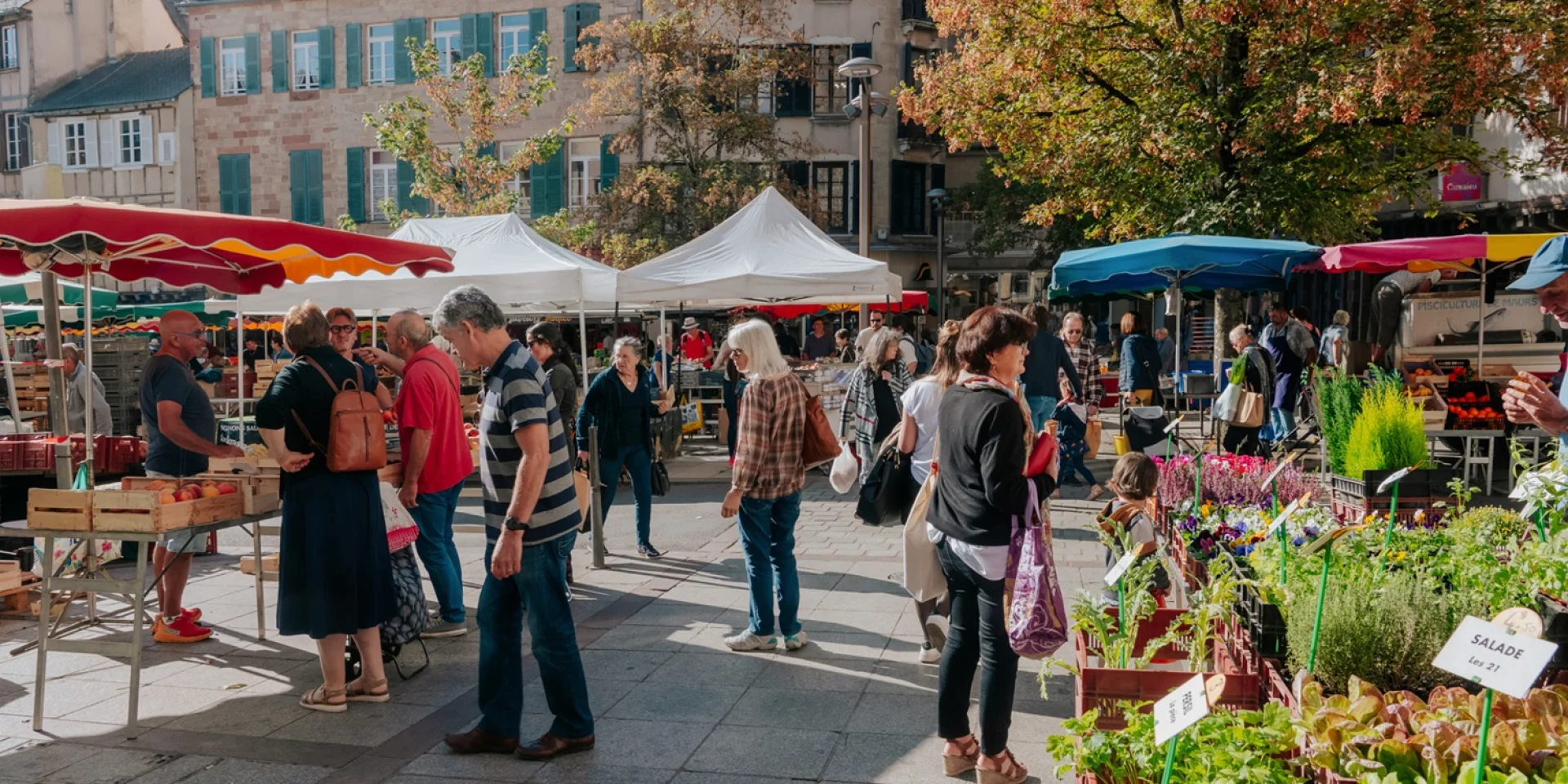 Salon du Vin et des Vignerons de Rodez - Photo 3