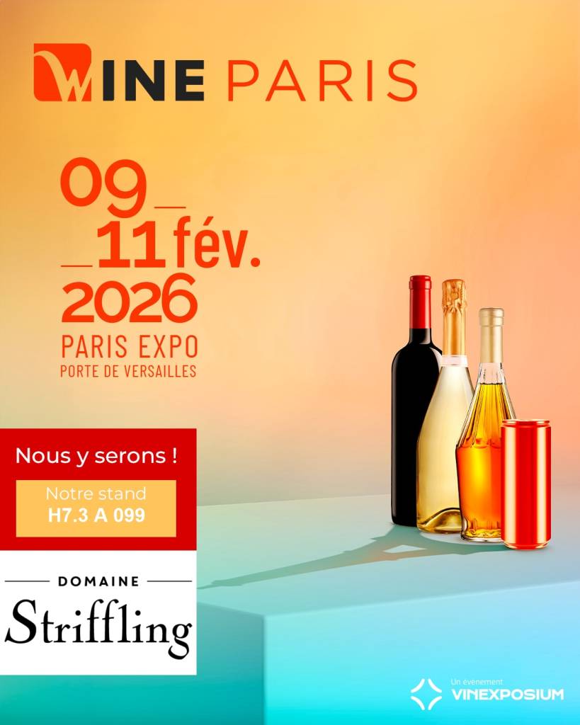 Salon du Vin Vitry le François - Photo 3