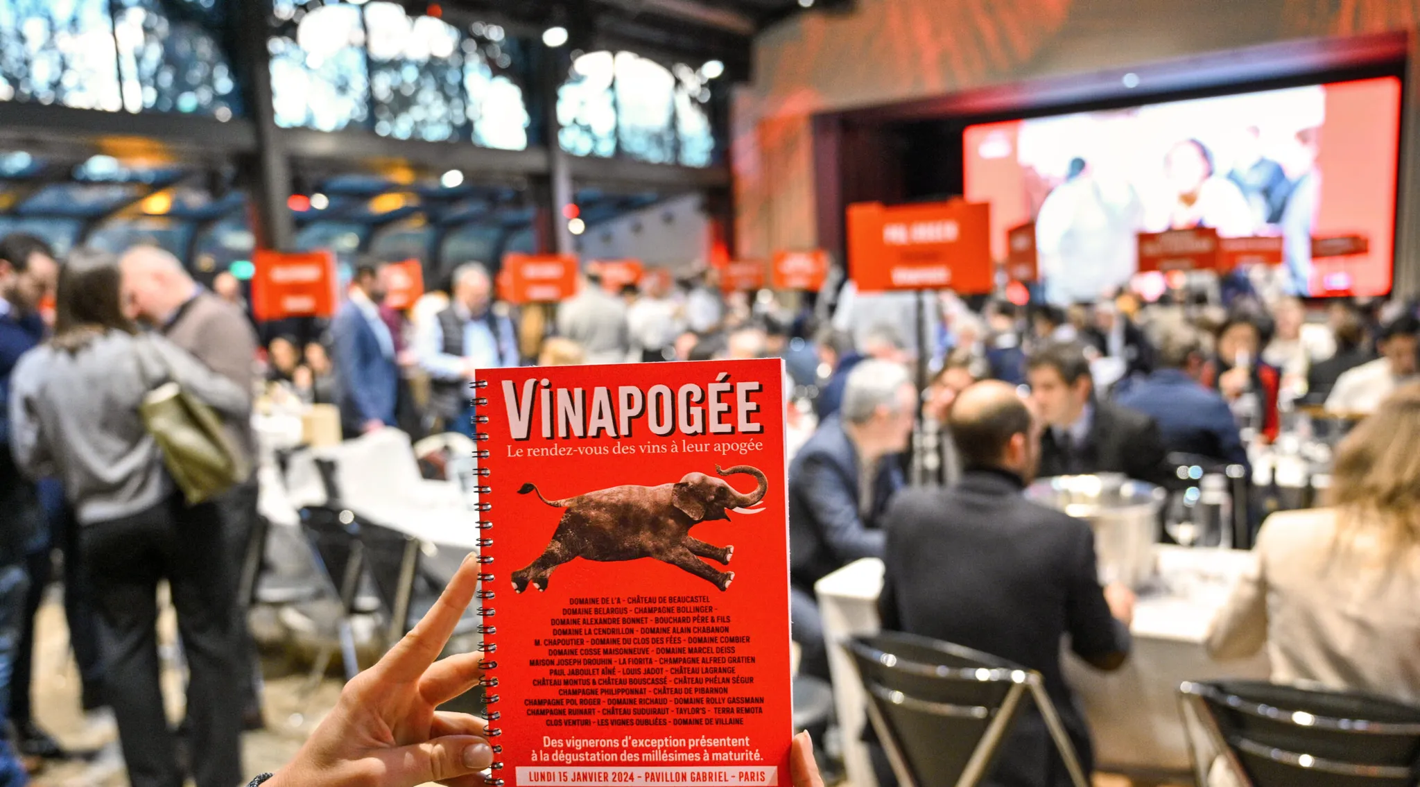 Vinapogée - Photo 1