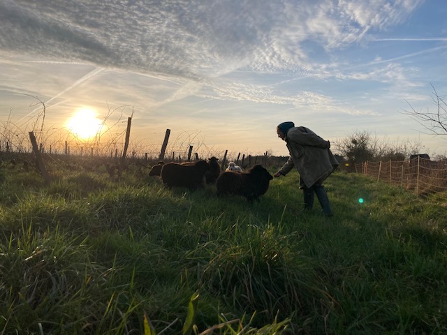 ViniCircus - Photo 5