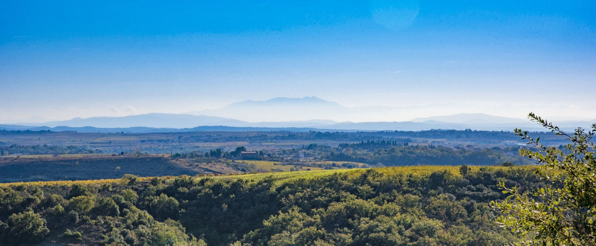 Vinidome Salon Vin à Clermont Ferrand - Photo 4