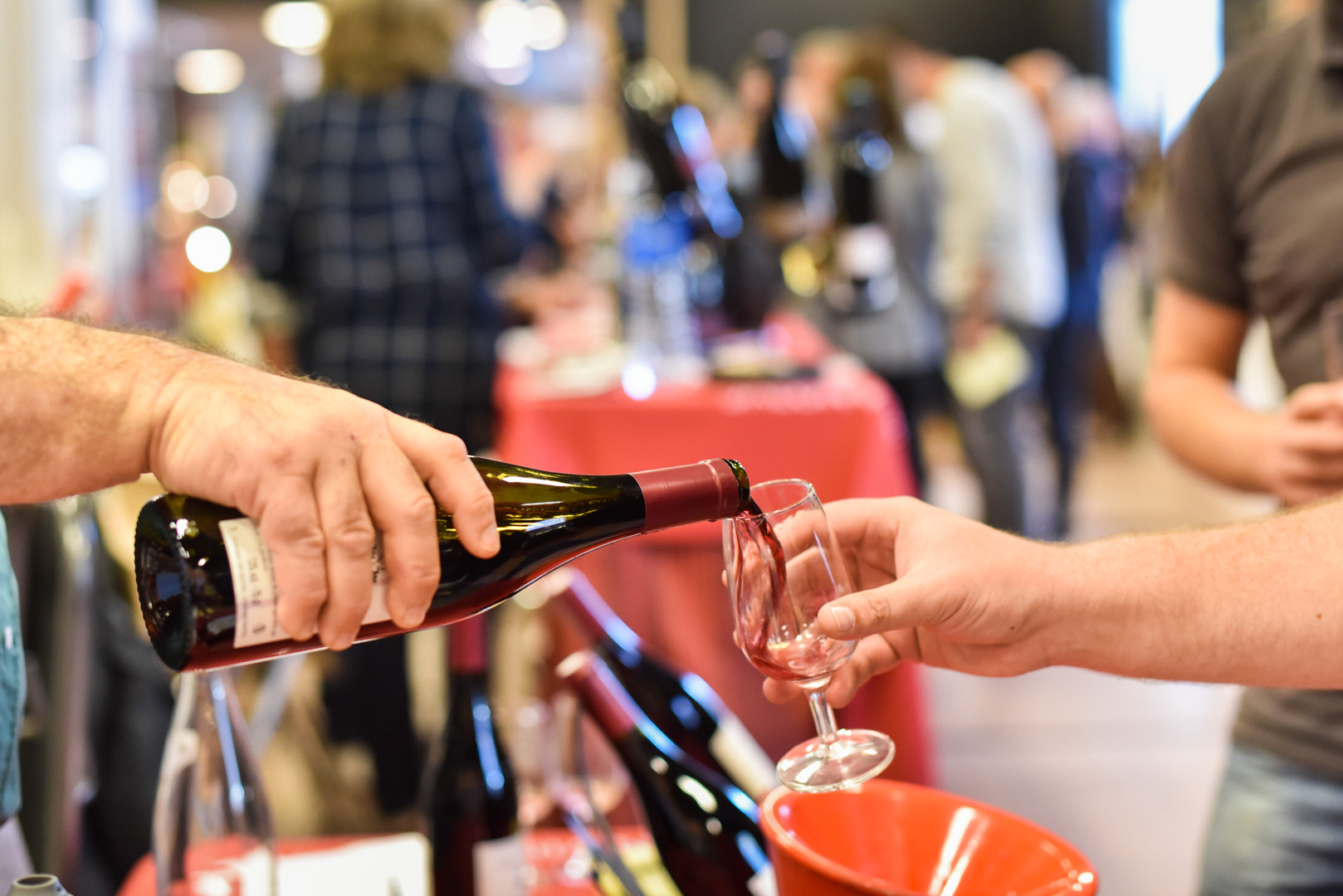 Vinomedia Annecy / Poisy - Photo 4