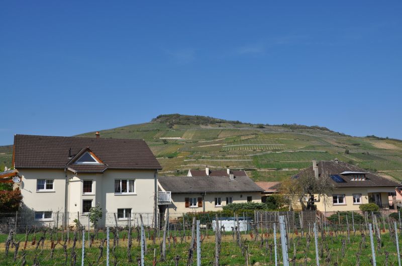 Foire aux vins à Arpajon