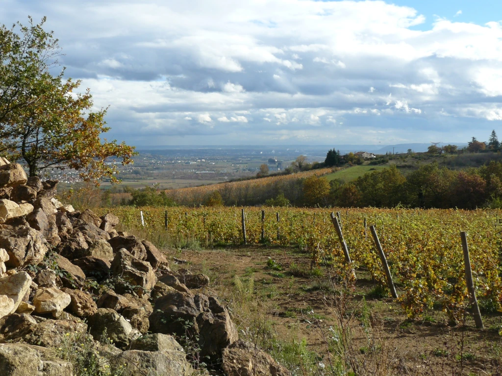 Salon des Vins Bio d'Auvergne Rhône-Alpes - Photo 3