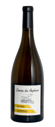 Salon des Vins Bio d'Auvergne Rhône-Alpes - Photo 4