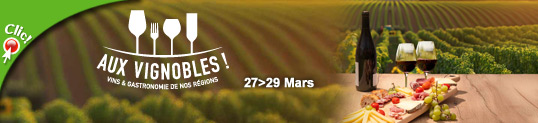 Salon des Vins à Dombasle-sur-Meurthe