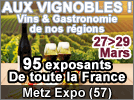 Salon des Vins à Dombasle-sur-Meurthe - Photo 2