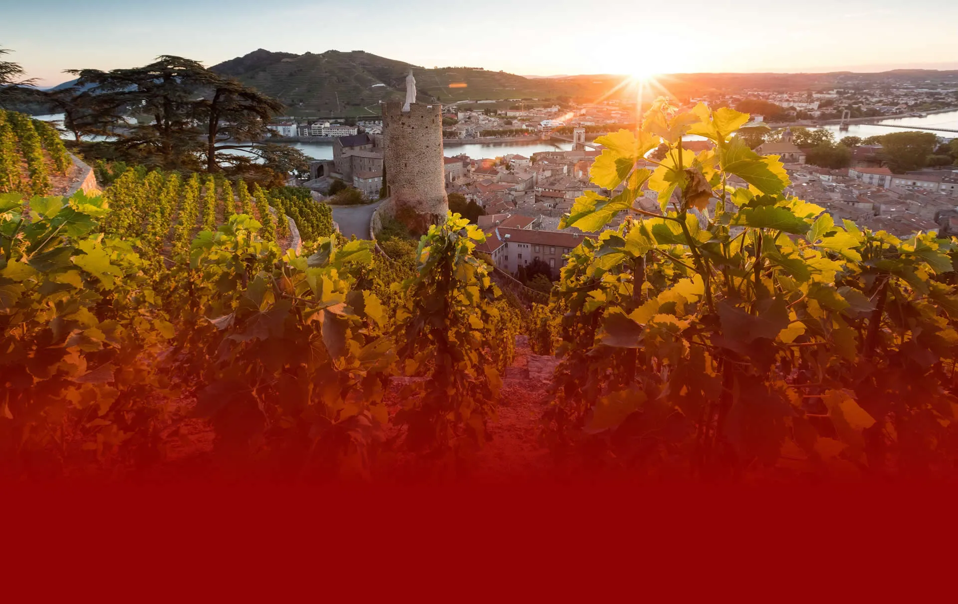 Salon des Vins de France et des Gourmets