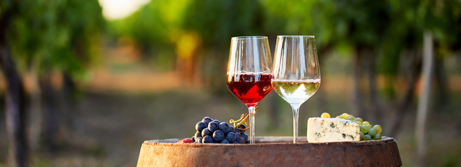 Salon des Vins de France en Mâconnais