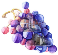 35ème Salon des Vins de France et produits du terroir - Photo 4