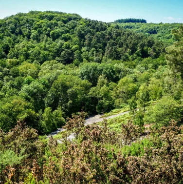 Festival des Vins et de la Gastronomie - Photo 2
