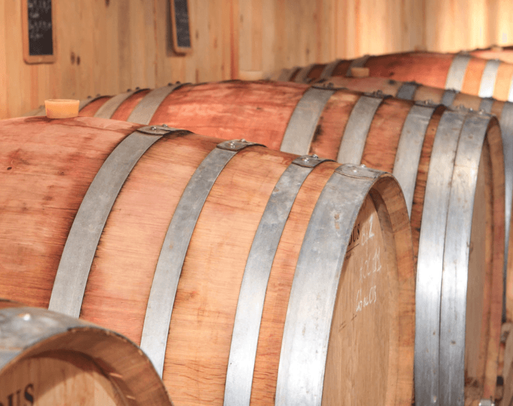 Logo Salon des Vins et de la Gastronomie de Saint-Avold