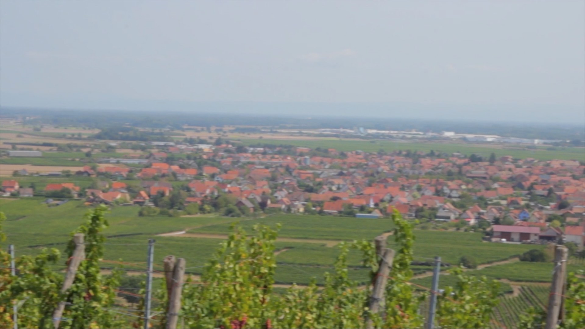 Salon des Vins de Gondecourt