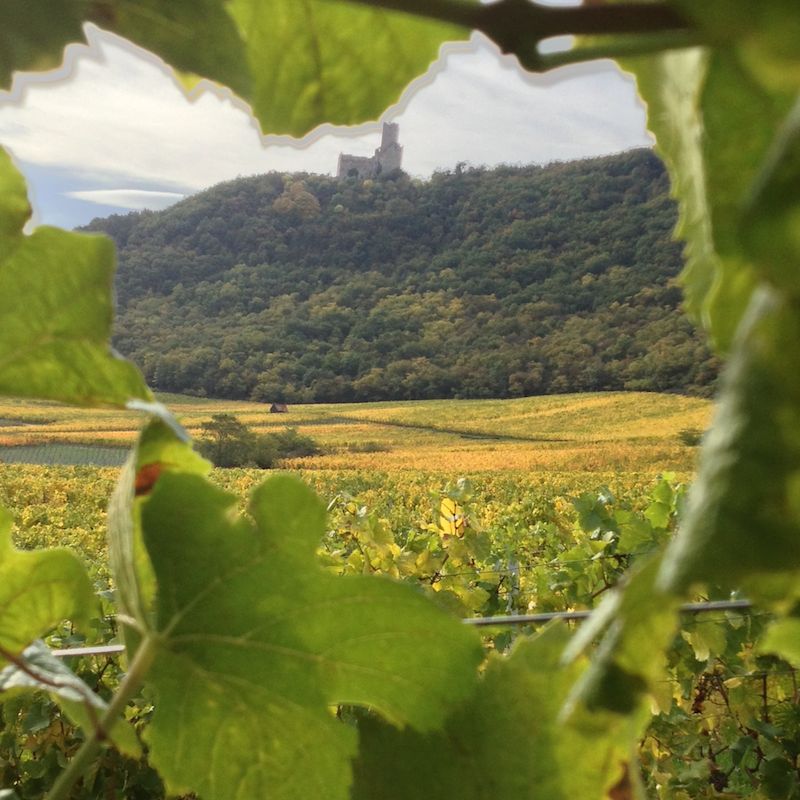 Salon des Vins de Gondecourt - Photo 2