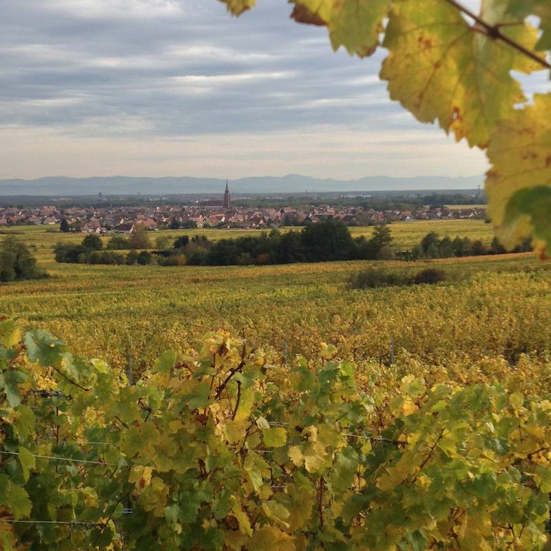 Salon des Vins de Gondecourt - Photo 4