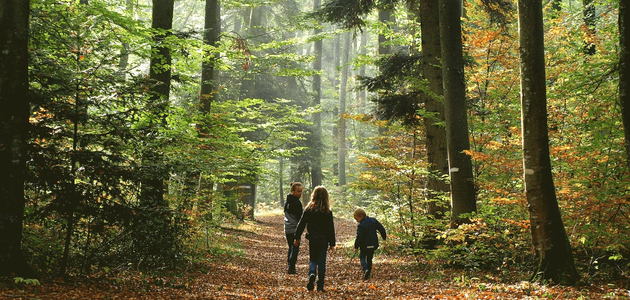 Salon vins et mets - Photo 5