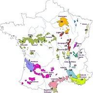 Logo Salon des vins de Saint-Denis-lès-Bourg