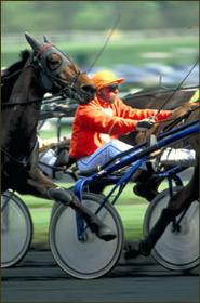 Foire aux Vins de Saint-Pourçain - Photo 3