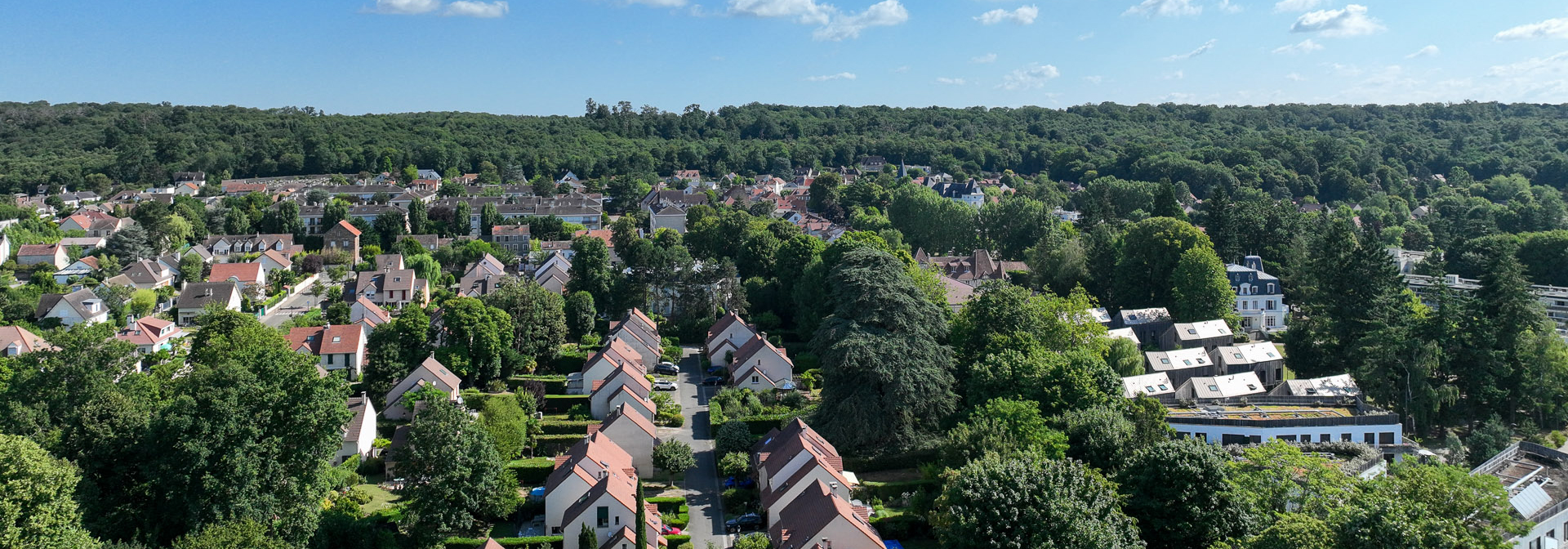Salon des Vins & des Saveurs