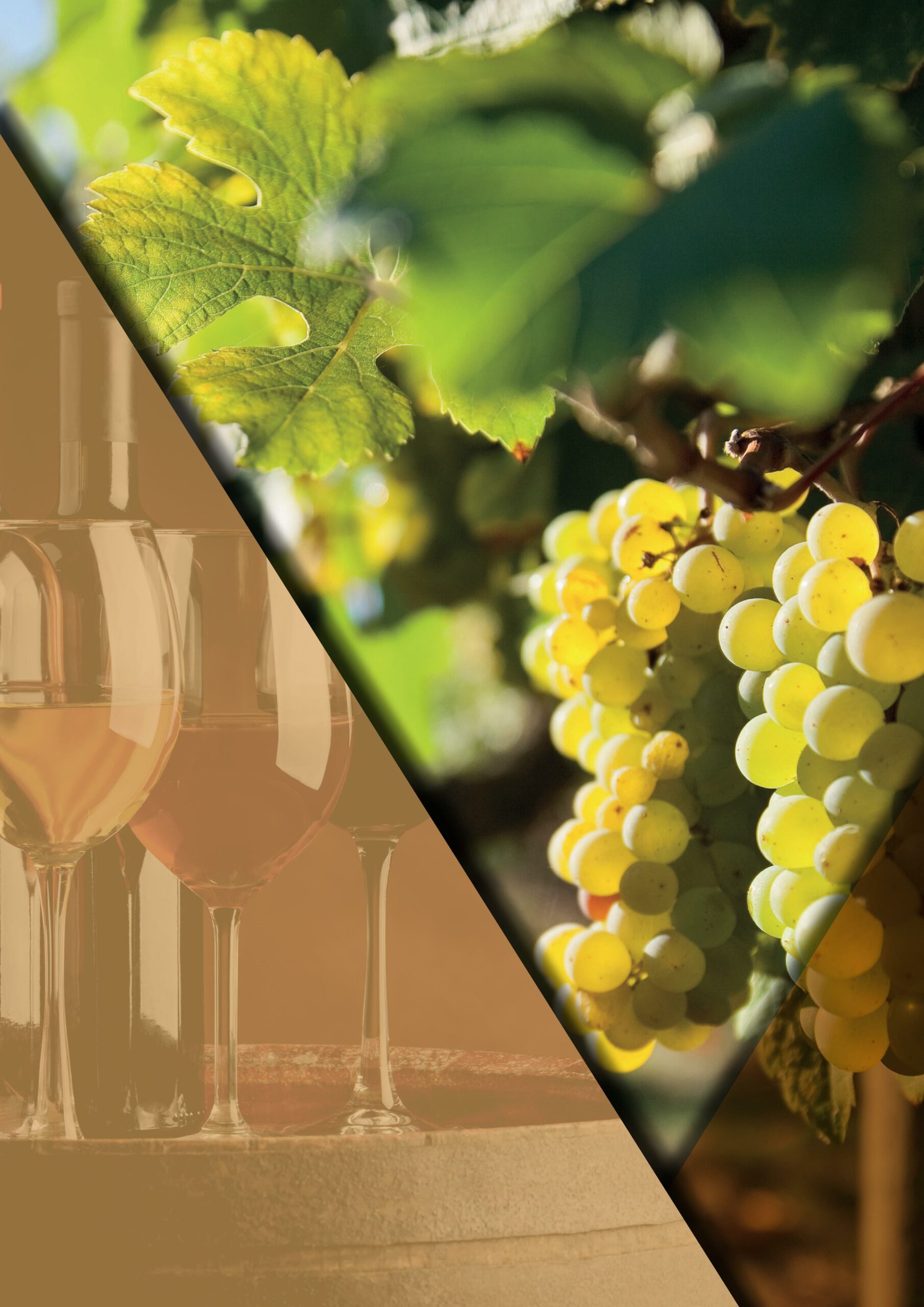 Salon des vins de Seyssuel - Photo 1