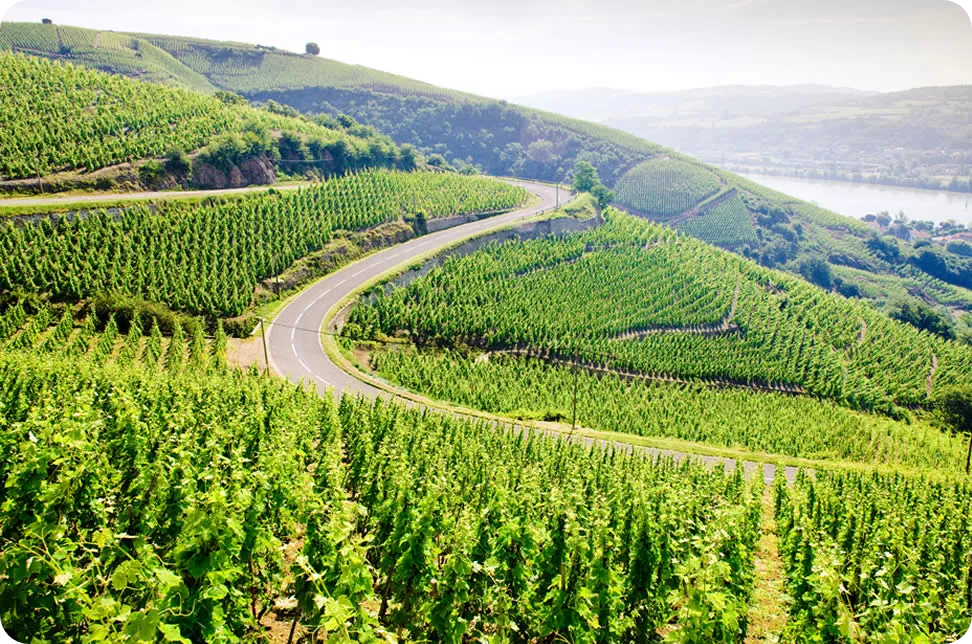 Salon des Vins de Tain L'Hermitage