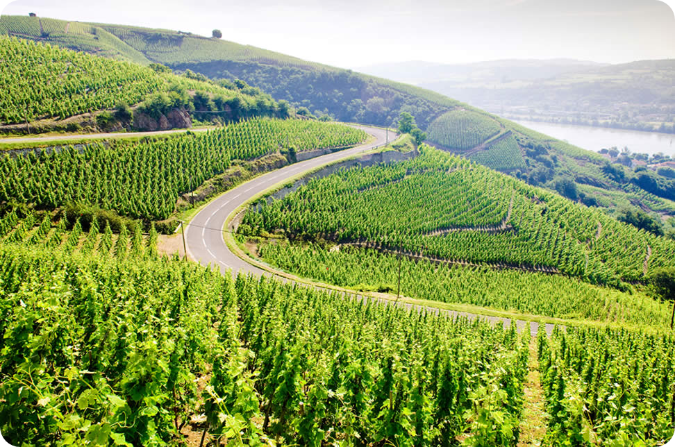 Salon des Vins de Tain L'Hermitage